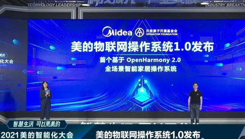 雪中送炭 4800億巨頭接入鴻蒙，華為網絡技術開發的堅守終見曙光