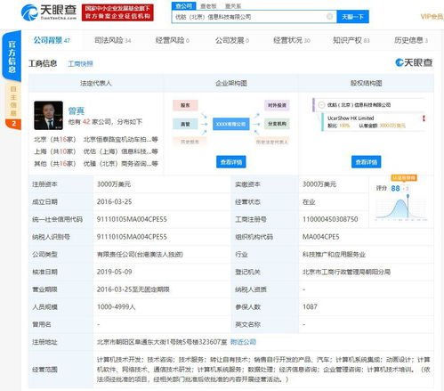 優(yōu)信CFO及曾真被限制消費(fèi) 信息系統(tǒng)集成服務(wù)的暗礁與反思