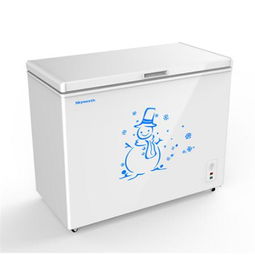 南通如皋創(chuàng)維單冷冰柜BD/C-220雅白熱銷(xiāo)中 免費(fèi)送貨安裝，華東配送無(wú)憂(yōu)